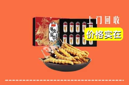 长治市黎城回收冬虫夏草